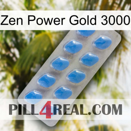 Zen Power Gold 3000 22